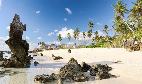 nauru island beach and palm trees